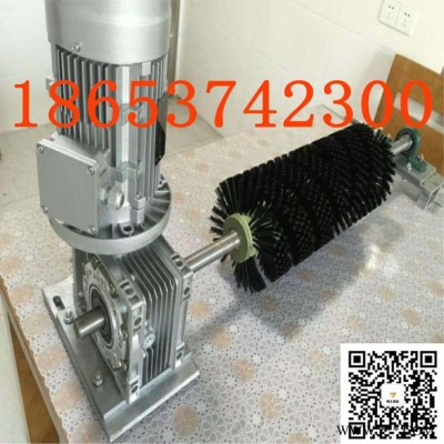 电动清扫器清扫皮带机杂质物料 防爆电机毛刷清扫器图8