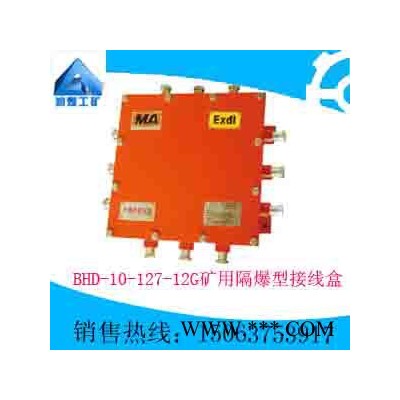 BHD-10/127-12G矿用隔爆型接线盒   质量优良  自产直销  专业设计图1