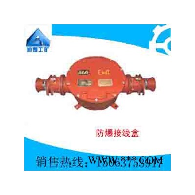 BHD4-20/6T隔爆型接线盒   质量优良  自产直销  专业设计图2