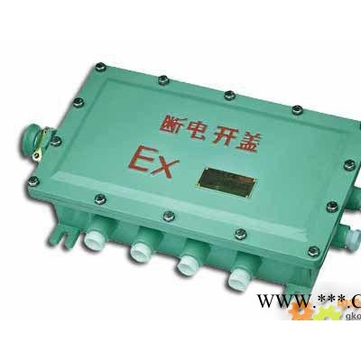 防爆接线箱 防爆接线盒 防爆开关盒 BJX-X4D4R4图1