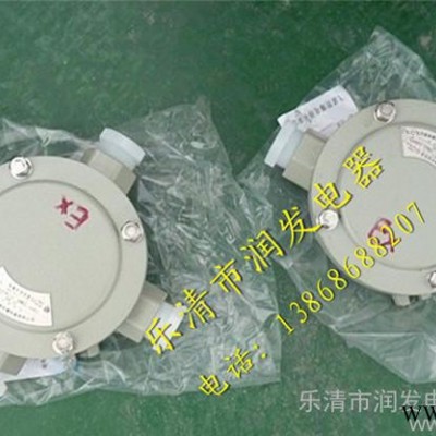 防爆接线盒,二平防爆接线盒,吊防爆接线盒,ah-g防爆接线盒,平防爆图3