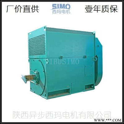 石家庄高压电机YKK4003-6/250KW压缩机高压电动机生产厂家图2