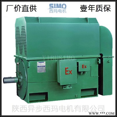 石家庄高压电机YKK4003-6/250KW压缩机高压电动机生产厂家图5
