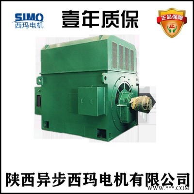 西玛电机销售YRKK4502-8G-250KW-6KV电压高原高压电机图3