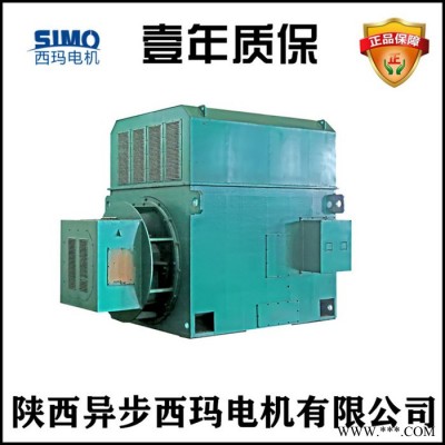 西玛电机销售YRKK4502-8G-250KW-6KV电压高原高压电机图5