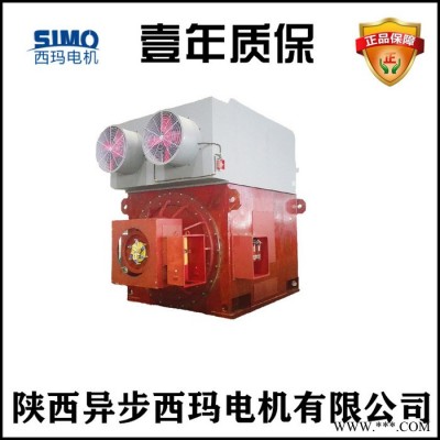 西玛电机销售YRKK4502-8G-250KW-6KV电压高原高压电机图8