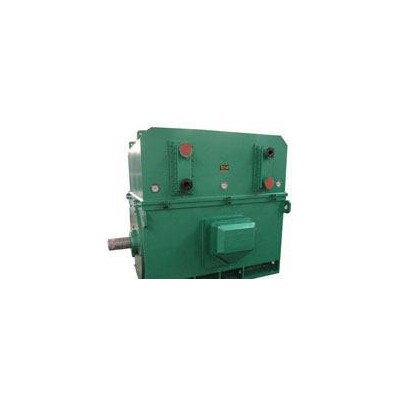 通风机专用高压电机YKS5003-10 280KW图3