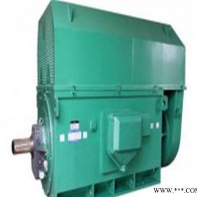 直销西玛电机 YKK高压电机 4005-4400KW 6KV图3