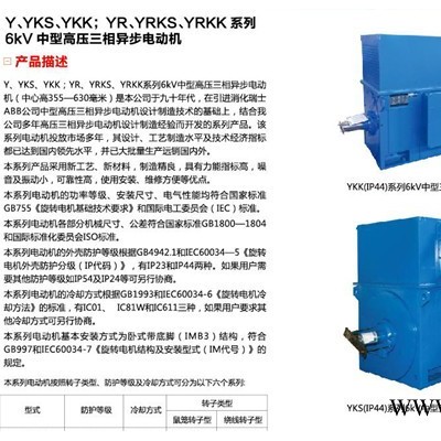 供应ATBYKK6KV 10KV中大型高压电机图2