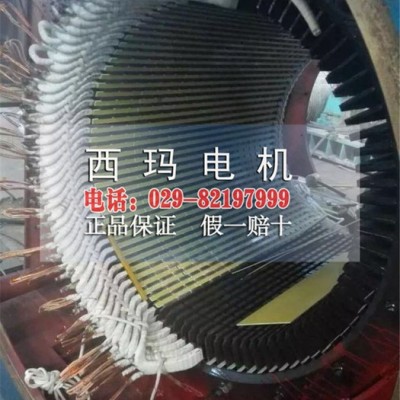 YR7107-12 1000KW 10kv高压电机 大型卧式绕线电机图5