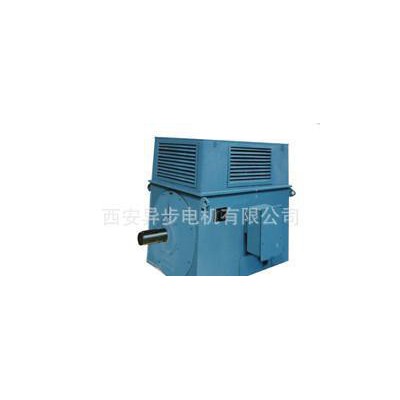 西安电机厂西玛电机 Y系列Y4509-4 900KW 6KV高压电机图2