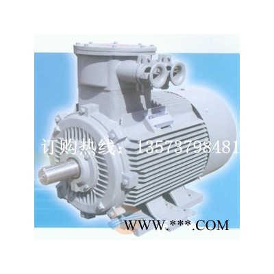 (YB3-200L-8 15kW 8极) 防爆电机 高效节能图1