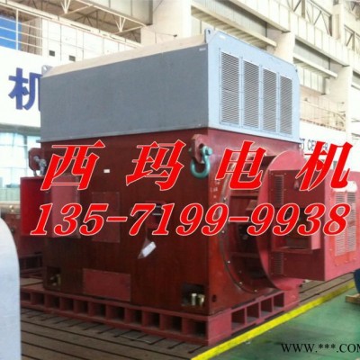 西安销售西玛牌电机YRKS8001-16   1000KW6KV 高压电机图3