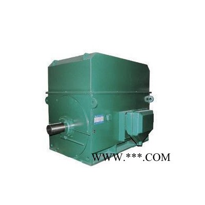 西北专业电机YR10002-10 5000KW 6KV高压电机 风机专用图3