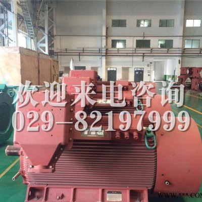 YX450-6/560KW高效高压电机 泰富西玛电机图2
