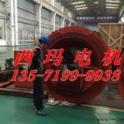 YX450-6/560KW高效高压电机 泰富西玛电机图3