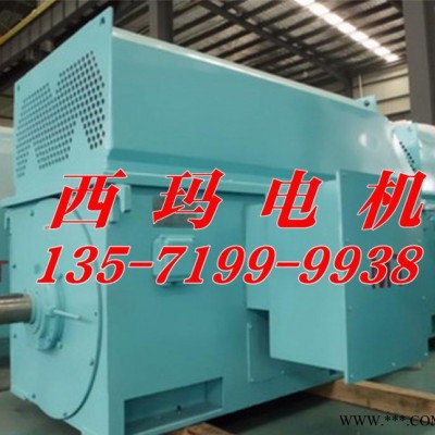 Y系列高压电机Y4502-6 280KW 西安泰富西玛电机图3