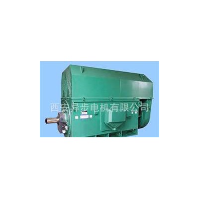 西安西玛Y系列Y5001-4 710KW 10KV高压电机图3