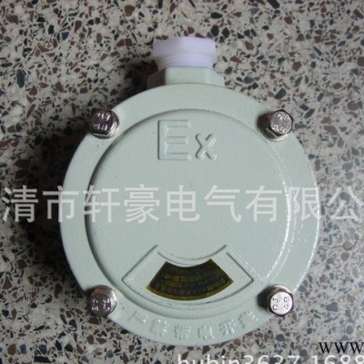 供应6分 3/4 DN20 防爆接线盒 一通隔爆接线盒图2