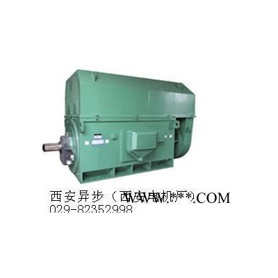 破碎机高压电机YKS5604-8 900KW 西安泰富西玛 专业生产电机图3