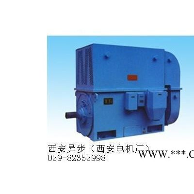 破碎机高压电机YKS5604-8 900KW 西安泰富西玛 专业生产电机图2