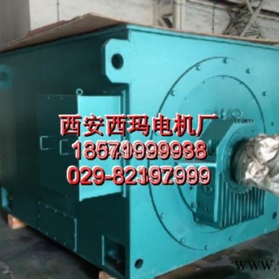 西安电机厂西玛电机 Y系列Y5004-4 1600KW 6KV 高压电机图3