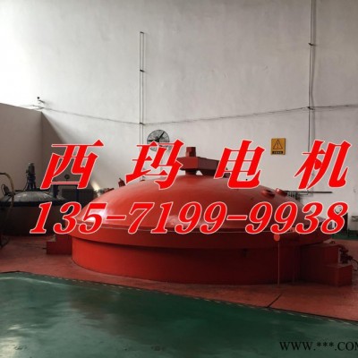 现货西玛JS高压电机JS1510-6 650KW 6000V鼠笼电动机图2