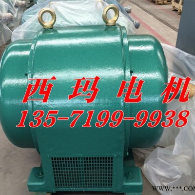 现货西玛js系列高压电机JS148-8 240KW 6KV电机图3