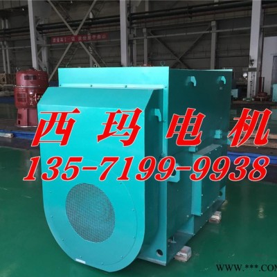 西安泰富西玛YKK5601-6 800KW 10KV高压电机 西玛电机厂图3