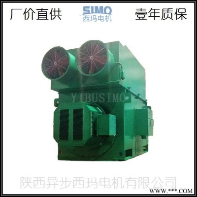 泰富西玛电机销售YRKK5001-8-355KW-配国产轴承的大中型高压电机图6