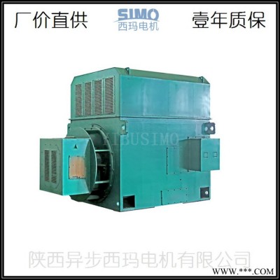 泰富西玛电机销售YRKK5001-8-355KW-配国产轴承的大中型高压电机图7