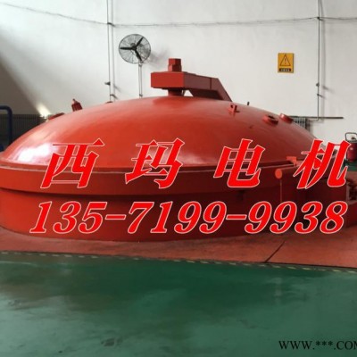 YTM5603-6 1000KW 6KV中型高压电机 西安西玛电机厂出品图3