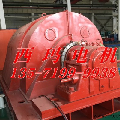 西安泰富西玛电机YR系列YR4503-4 710KW6KV高压电机图2