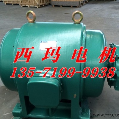 **西玛高压电机 JR1510-6  650KW西玛电机 异步电机图3