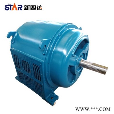 新四达JR148-6-310KW  6000V JR/YRQ系列三相异步高压电动机  高压电机  滑环电机   绕线电机图2