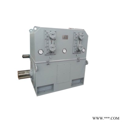 高压电机 YKS7102-6 2500KW 6KV西玛三相异步电机图6