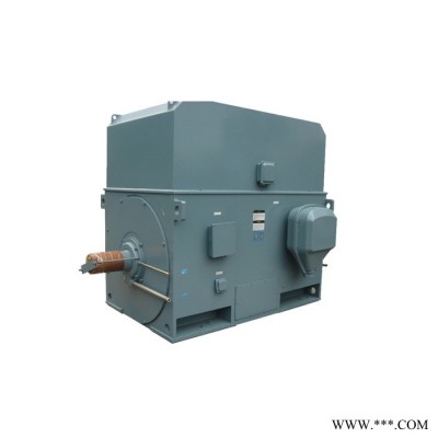 高压电机 YKS7102-6 2500KW 6KV西玛三相异步电机图5