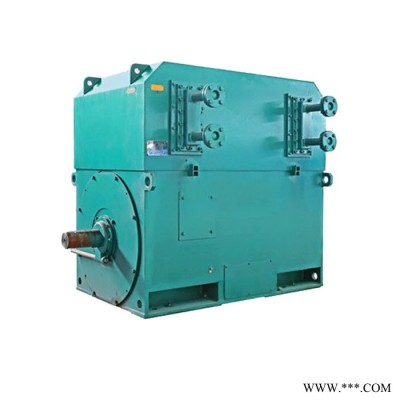 高压电机 YKS7102-6 2500KW 6KV西玛三相异步电机图3