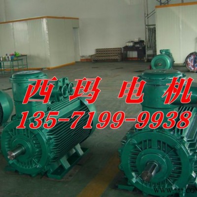 YB2-5004-2 800KW 10KV ExdⅡBT4 Gb防爆高压电机图3