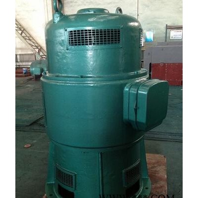 西玛牌JSL-12-2 185KW 3000V立式水泵风机用JS鼠笼型高压电机图2