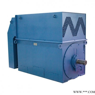 高压电机 神极 YRWS450-4 280KW 节能电机 无刷双馈电机图6