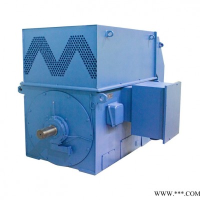 高压电机 神极 YRWS450-4 280KW 节能电机 无刷双馈电机图5