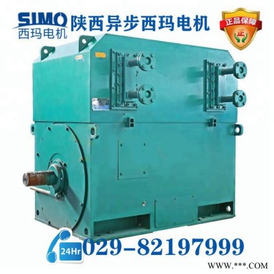 西玛高压电机  空水冷高压电机  YKS4001-6/220KW/10000V/B3/F级绝缘图4