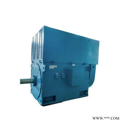 新四达YKK4504-10-250KW 6KV 三相异步高压电动机 YKK水泵电机 高压电机图4