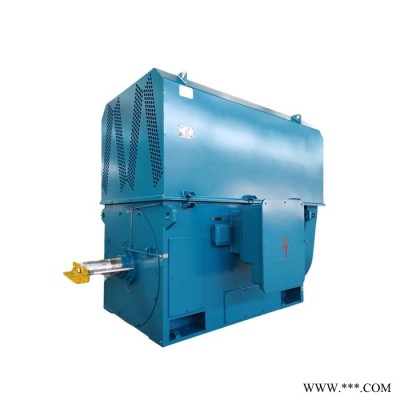 新四达YKK7102-10-1400KW 6KV 三相异步高压电动机 YKK水泵电机 高压电机图6