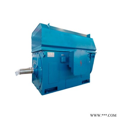 新四达YKK450S2-4-220KW 10KV 三相异步高压电动机 YKK水泵电机 高压电机图3