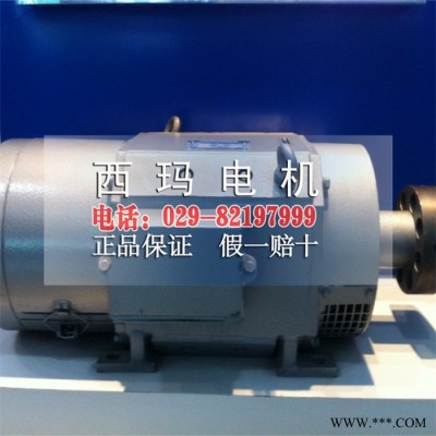 西安西玛ZTP-62K 9KW 79V 1000R铁路用直流电机 铁路电机图2