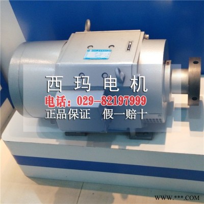 西安西玛ZTP-62K 9KW 79V 1000R铁路用直流电机 铁路电机图3
