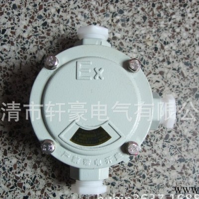 供应轩豪AH6分防爆接线盒6分 3/4图2