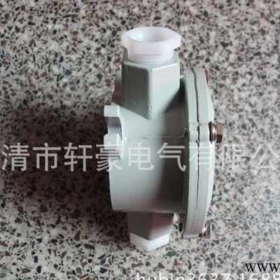 供应轩豪AH6分防爆接线盒6分 3/4图1